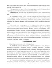 Etika viešajame administravime 4 puslapis