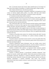 Etika viešajame sektoriuje 13 puslapis