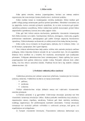 Etika viešajame sektoriuje 3 puslapis