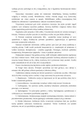 Etika viešajame sektoriuje 4 puslapis