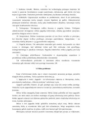 Etika viešajame sektoriuje 5 puslapis