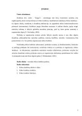 Etikos kodeksų svarba 2 puslapis