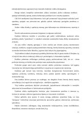 Etikos kodeksų svarba 10 puslapis