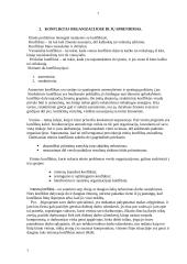 Etinės problemos, konfliktai bei jų sprendimas organizacijose 7 puslapis