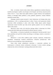 Etinės rekreacijos ir turizmo problemos 2 puslapis