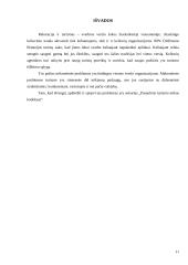 Etinės rekreacijos ir turizmo problemos 11 puslapis