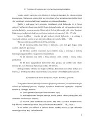 Etinės rekreacijos ir turizmo problemos 4 puslapis