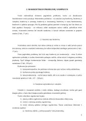 Etinės rekreacijos ir turizmo problemos 6 puslapis