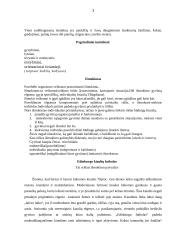 Etologijos įtaka gyvūnų prisitaikymui prie aplinkos 3 puslapis