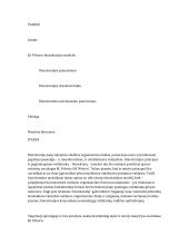 Biurokratija pagal M. Vėberį