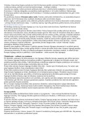 Europos Sąjunga - tai Europos valstybių asociacija 3 puslapis