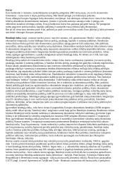 Europos Sąjunga - tai Europos valstybių asociacija 4 puslapis