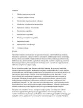 Demokratijos sąranga: parlamentinis ir prezidentinis valdymas