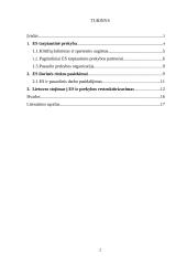 Europos Sąjungos (ES) tarptautinė prekyba 2 puslapis