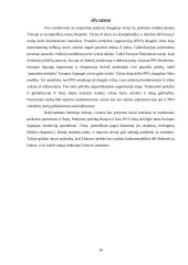 Europos Sąjungos (ES) tarptautinė prekyba 16 puslapis