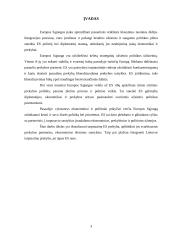 Europos Sąjungos (ES) tarptautinė prekyba 3 puslapis