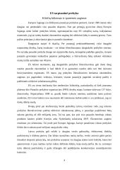 Europos Sąjungos (ES) tarptautinė prekyba 4 puslapis