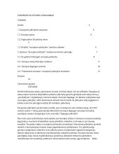 Europinės pilietybės atsiradimas