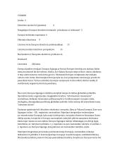 Europos identiteto problematika