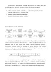 Evoliuciniai algoritmai robotikoje 9 puslapis
