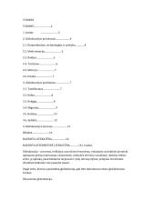 Globalizacijos proceso privalumai ir problemos