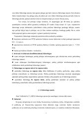 Faktoringas ir forfeitingas 6 puslapis