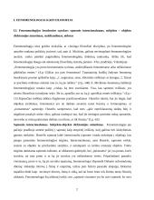 Fenomenologija (referatas) 2 puslapis