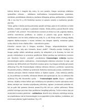 Fenomenologija (referatas) 4 puslapis