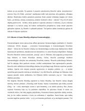 Fenomenologija (referatas) 6 puslapis