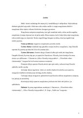 Filosofai apie meilę ir neapykantą 3 puslapis