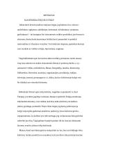 Kas būdinga čekų kultūrai