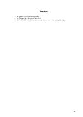 Filosofija kaip meilė išminčiai 13 puslapis