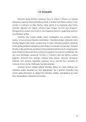 Filosofija kaip meilė išminčiai 7 puslapis