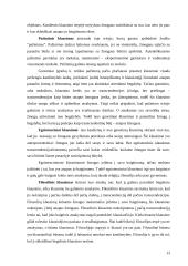 Filosofija kaip meilė išminčiai 10 puslapis