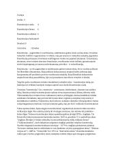 Konstitucijos raida, forma, reikšmė ir funkcijos