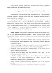 Finansų valdymo strategija 12 puslapis