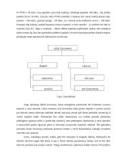 Finansų valdymo strategija 16 puslapis
