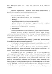 Finansų valdymo strategija 17 puslapis