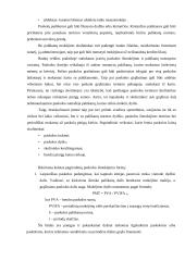 Finansų valdymo strategija 19 puslapis