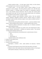 Finansų valdymo strategija 20 puslapis