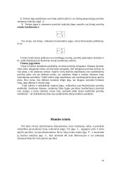 Fizikinės jėgos 14 puslapis