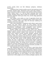 Jaunimo (studentų) fizinis aktyvumas 4 puslapis