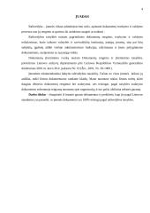 Funkcionuojantys dokumentai ir jų apžvalga įmonėje 4 puslapis