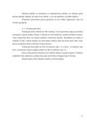 Gaisrai ir jų priežastys 12 puslapis