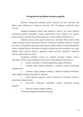 Gaisrai ir jų priežastys 13 puslapis