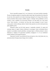 Gaisrai ir jų priežastys 14 puslapis