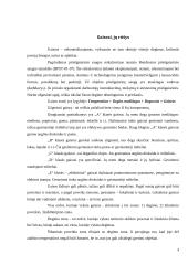 Gaisrai ir jų priežastys 5 puslapis