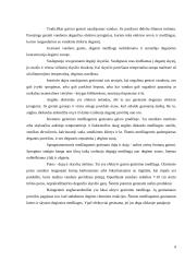 Gaisrai ir jų priežastys 10 puslapis