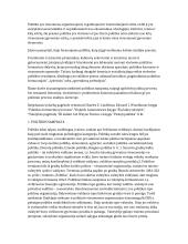 Politinio proceso raida ir stadijos