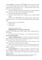 Gamybos kaštai ir jų rūšys pelno maksimizavimas 3 puslapis